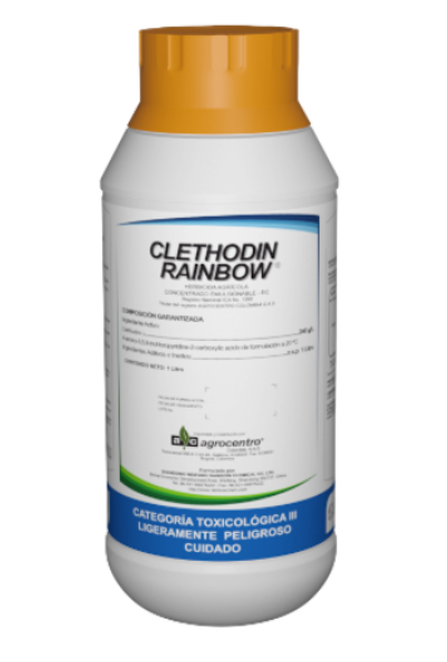 CLETHODIN RAINBOW